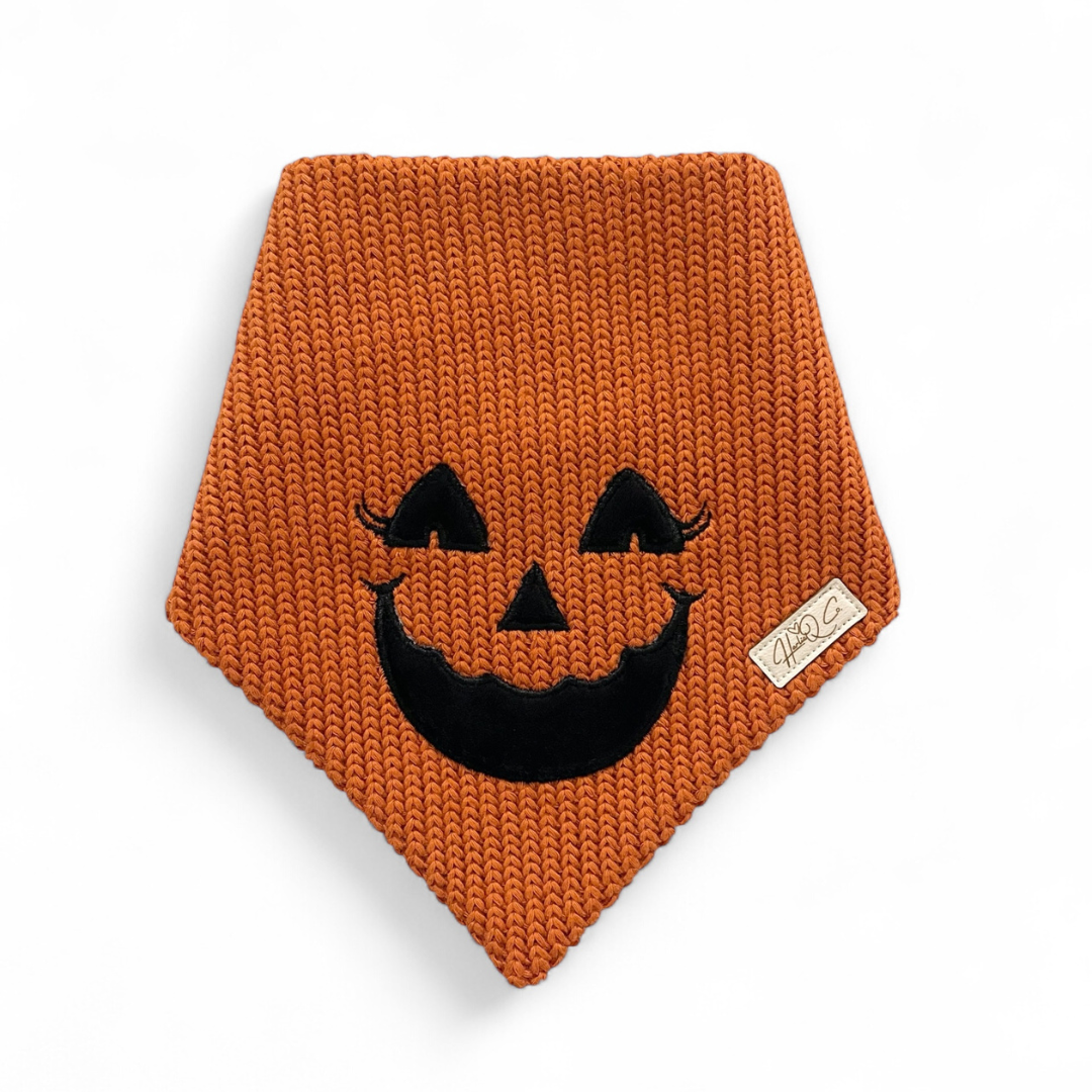 Sweater Knit Pumpkin (with lashes) Bandana