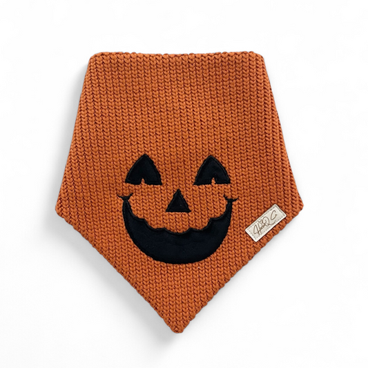 Sweater Knit Pumpkin (NO lashes) Bandana