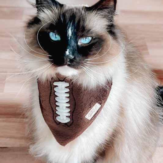 Fuzzy Football (with 3D laces) Bandana