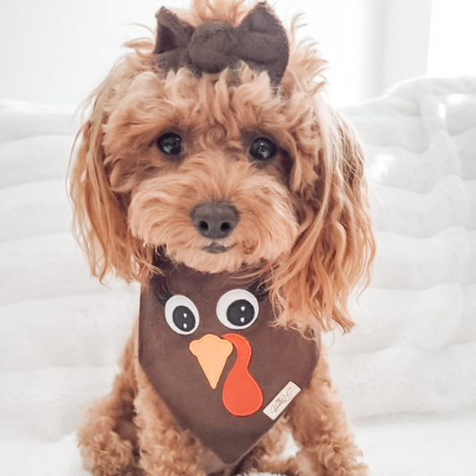 Fuzzy Turkey (with lashes) Bandana