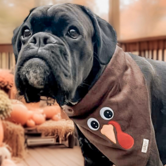 Fuzzy Turkey (NO lashes) Bandana